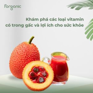 vitamin có trong quả gấc