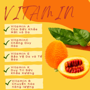 5 loại vitamin chính trong quả gấc