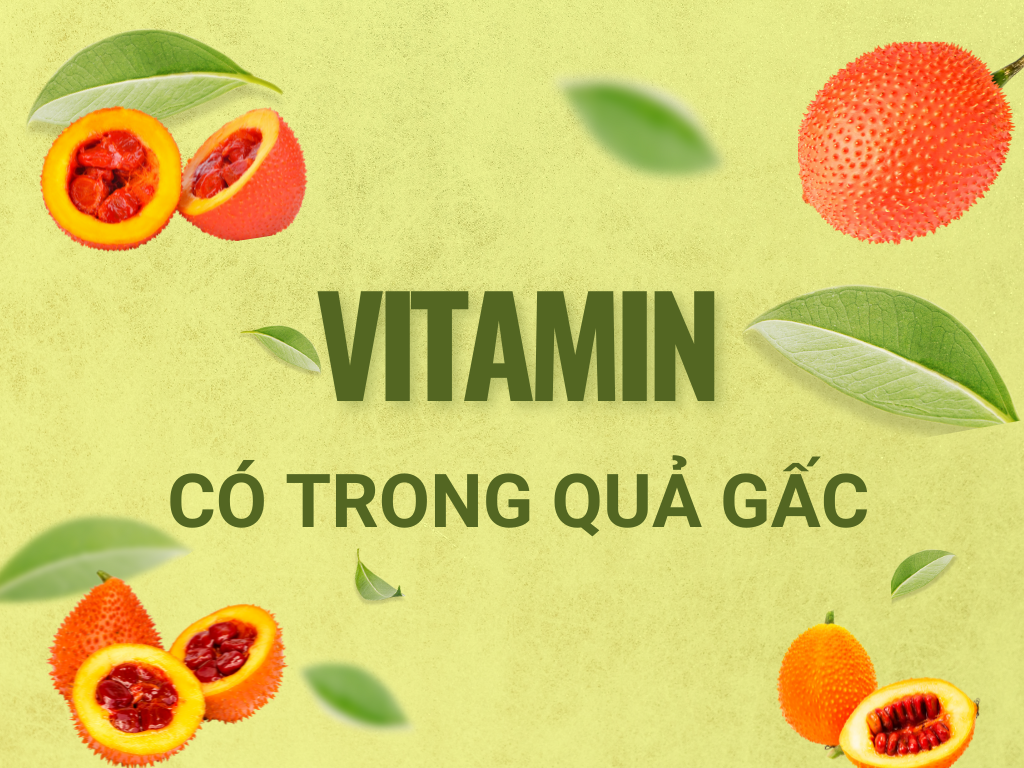 Vitamin có trong quả gấc