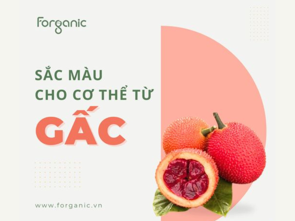 lợi ích của gấc đối với sức khỏe